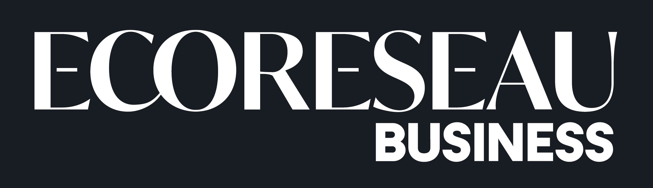 EcoReseau Business